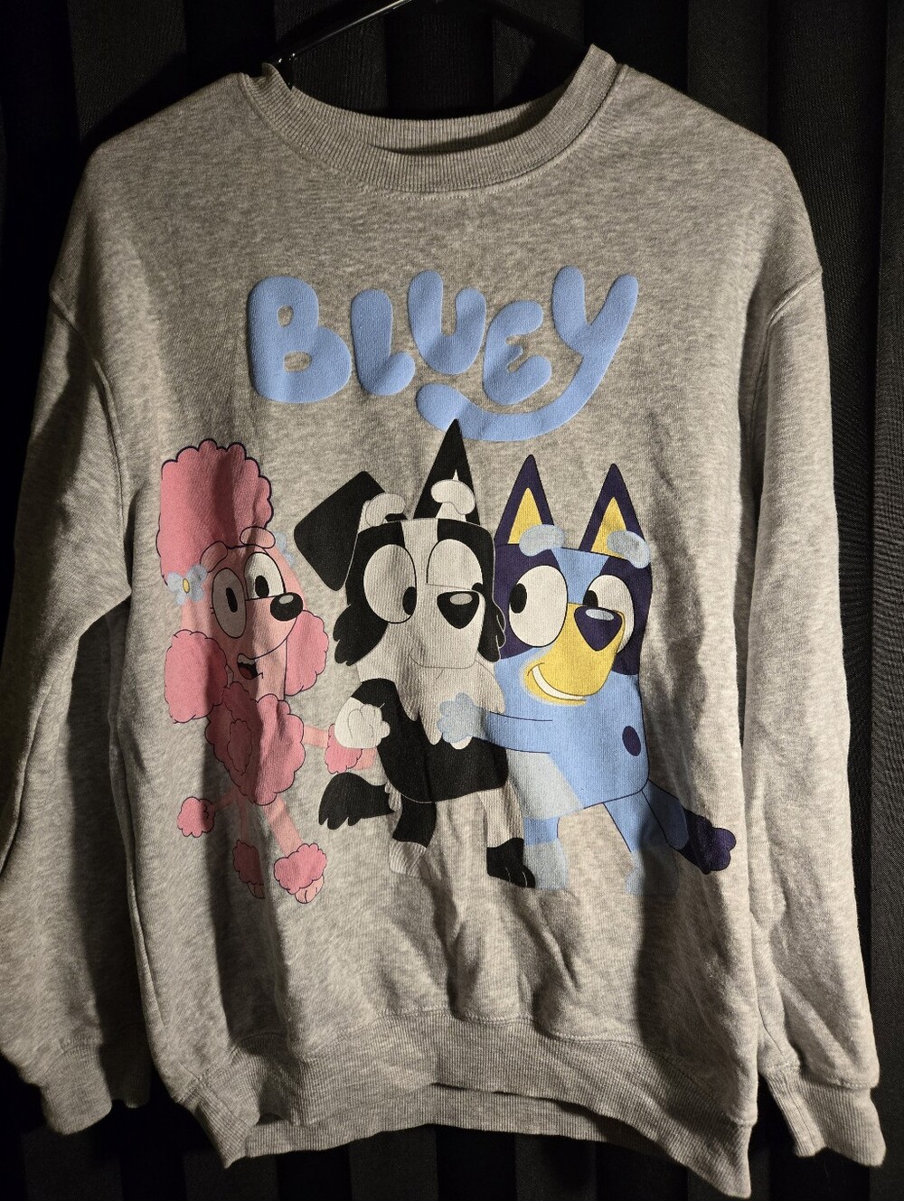 Bluey Sweatshirt